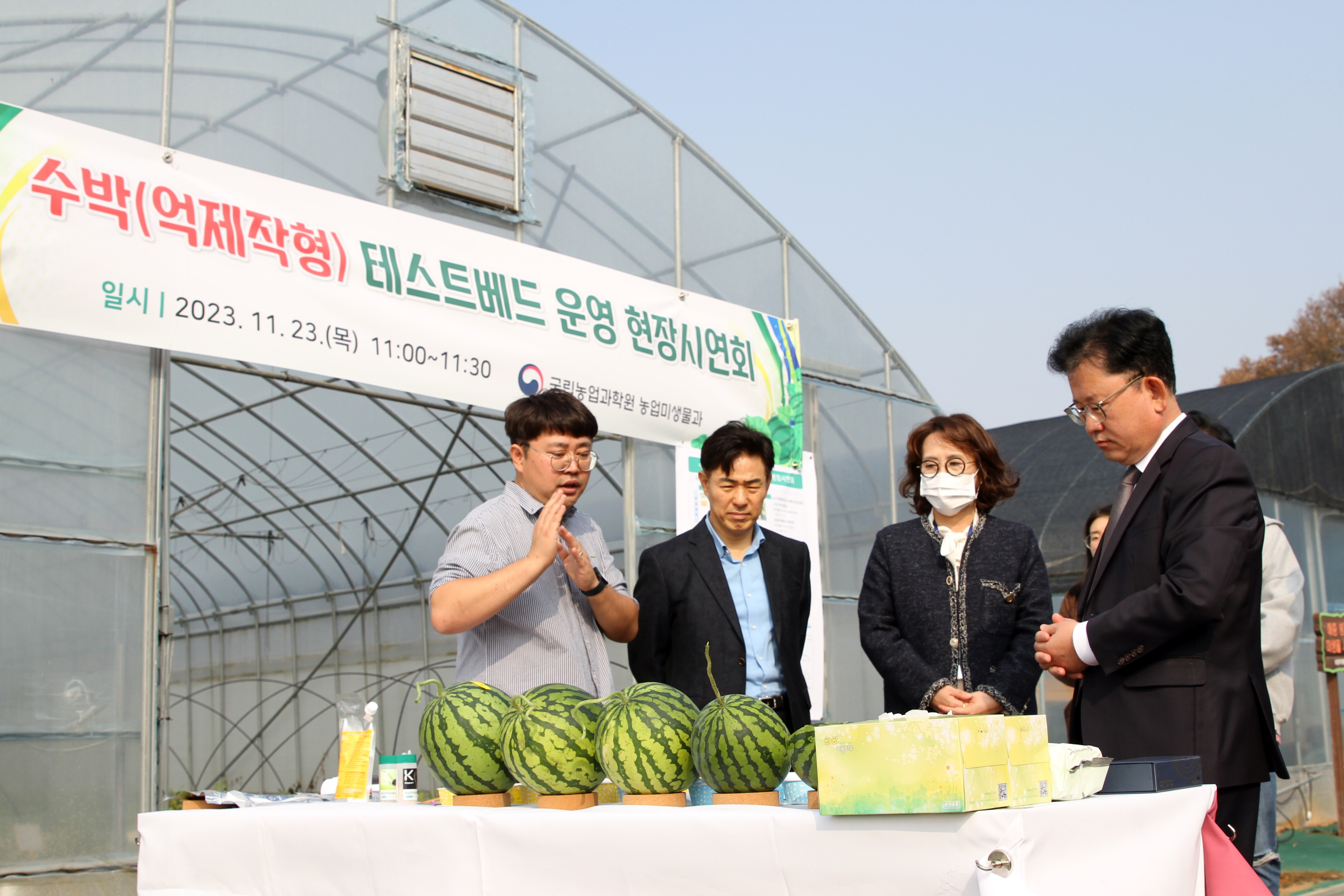 수박 미생물농법 포장 점검