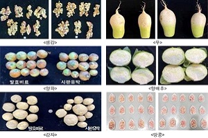 국산 농식품 부산물 새활용 ‘발효 비료’, 효과도 ...