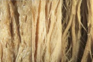 국산 콩으로 한식 맞춤 대체식품 소재 개발