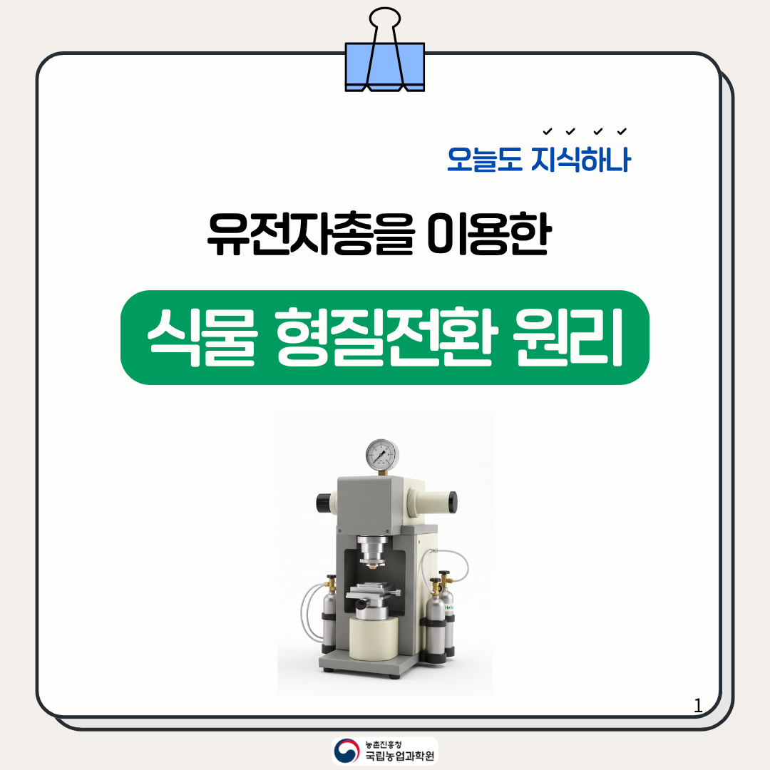 유전자총을 이용한 식물 형질전환 원리