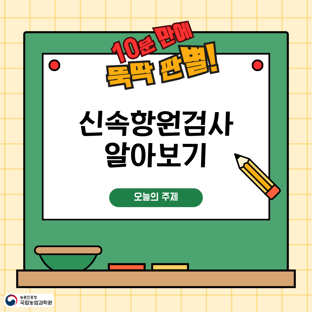 10분만에 뚝딱 판별! 신속항원검사 알아보기