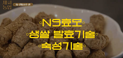 [신상이란 이런 거!] K-전통소주