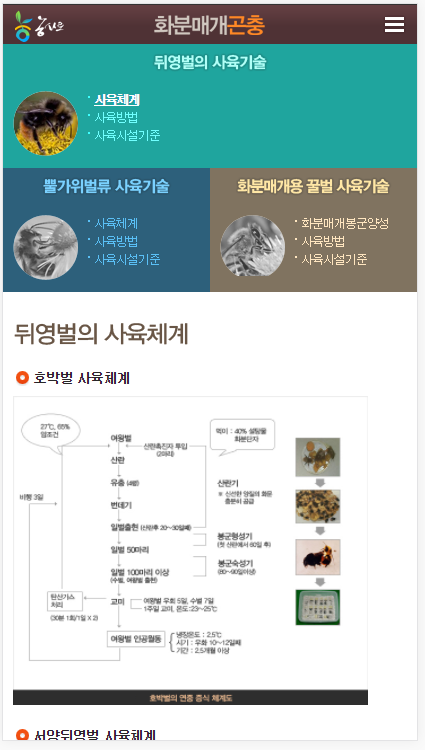 화분매개 이미지 4